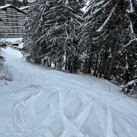 דירה Bel Centre Montana, 5 Min Des Pistes, Vue Alpine קראנס-מונטנה